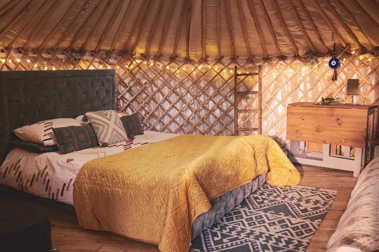 Elf Yurt - Yurtopia Hotel Абъристуит Екстериор снимка